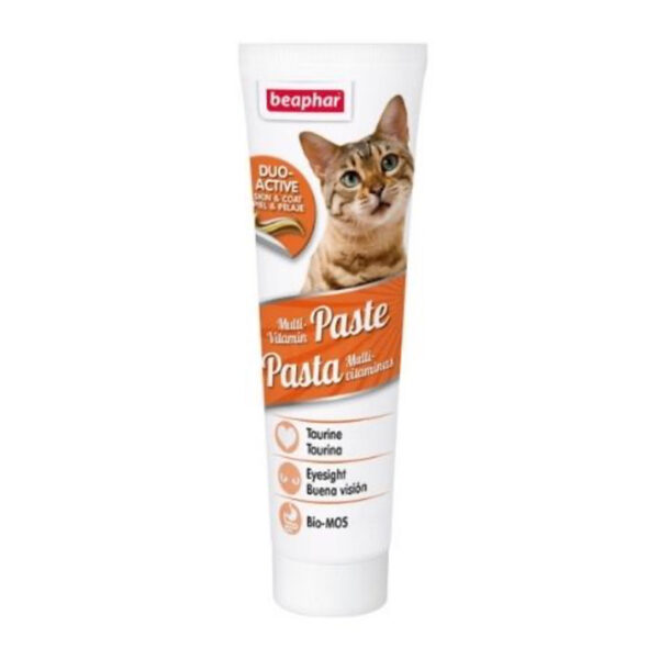 Beaphar Duo Active Skin An Coat Multi Vitamin Paste For Cats 100G 1.jpg