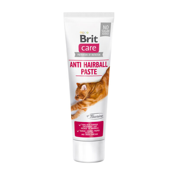 Brit Care Cat Functional Paste Anti Hairball With Taurine 100G 1.jpg