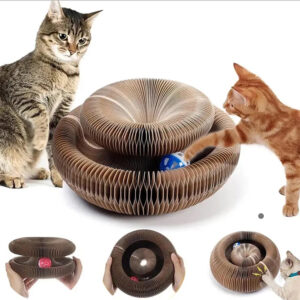 Magic Organ Cat Toy Cats Scratcher 1.jpg