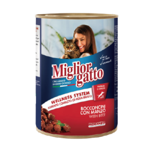 Miglior Gatto Adult Cat Wet Food Chunks With Beef In Sauce 405G 1.png