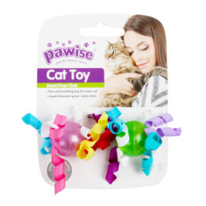 Pawise 2 Balls Cat Toy 1.jpg