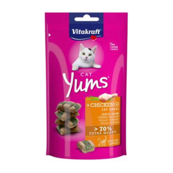 Vitakraft Yums Chicken Cat Grass Cat Treat 40G 1.jpg