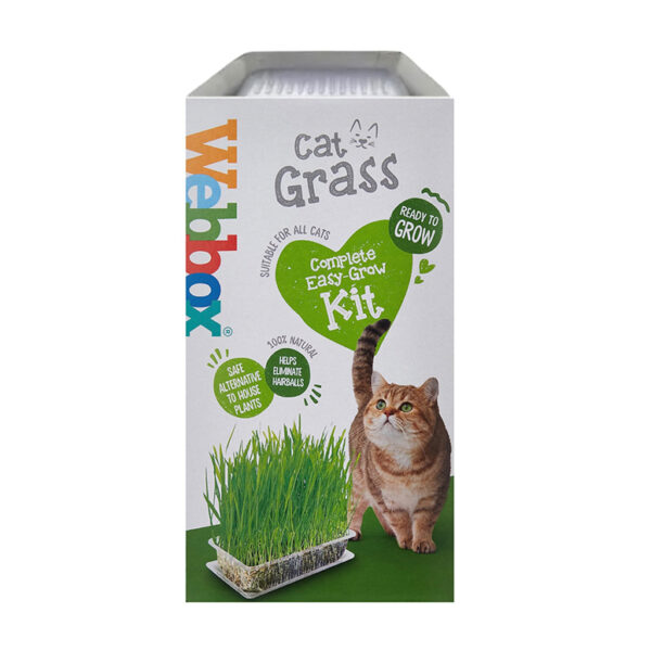 Webbox Cat Grass Complete Easy Grow Kit For Cats 120G 1.jpg